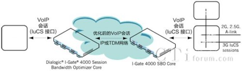 3G �ƄӾW(w��ng)�j luCS VoIP ��Ԓ��(y��u)��