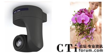 �������^���r��������